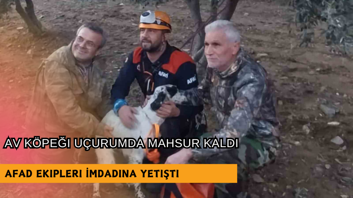 AFAD Ekipleri İmdadına Yetişti