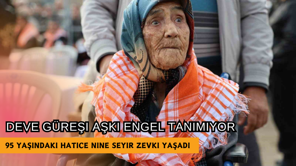 Deve Güreşi Aşkı Engel Tanımıyor 