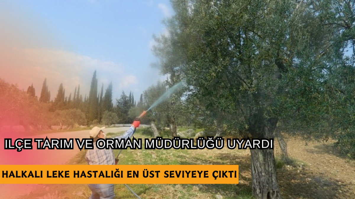 İlçe Tarım ve Orman Müdürlüğü Uyardı