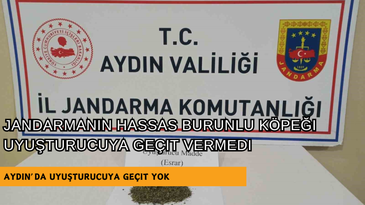 Jandarmanın hassas burunlu köpeği uyuşturucuya geçit vermedi